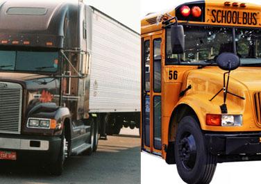 Busses and Trucks